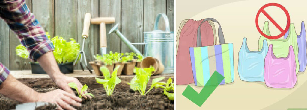 Ways to help your environment