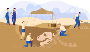 Tips to becoming a palaeontologist