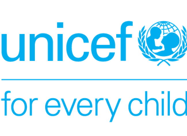 NESG, UNICEF unite to tackle child poverty, protect child rights in Nigeria