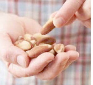 Nut allergy reactions