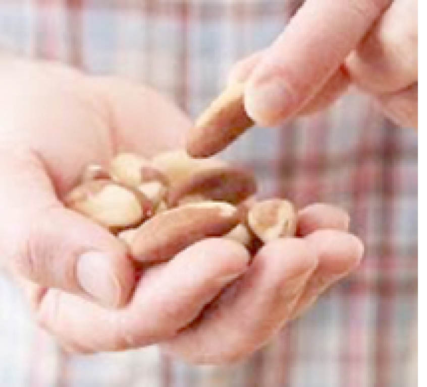 Nut allergy reactions