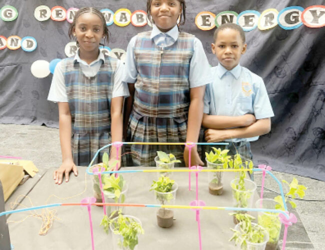 Premier International School students promote recycling in science fair