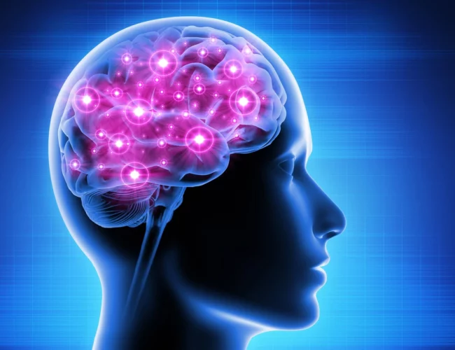 Things that can enhance your brain function