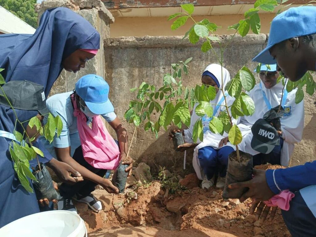 Association launches tree planting in Kano schools