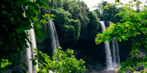 Beautiful waterfalls in Nigeria