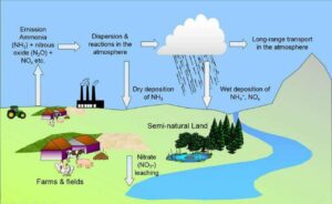 The effects of pollution