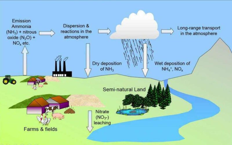 The effects of pollution