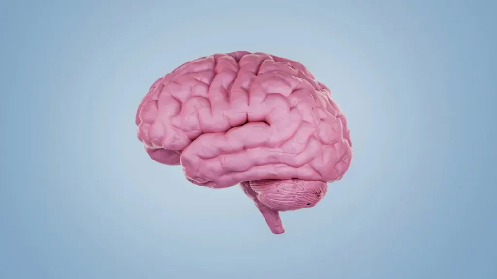 The brain’s biggest secret