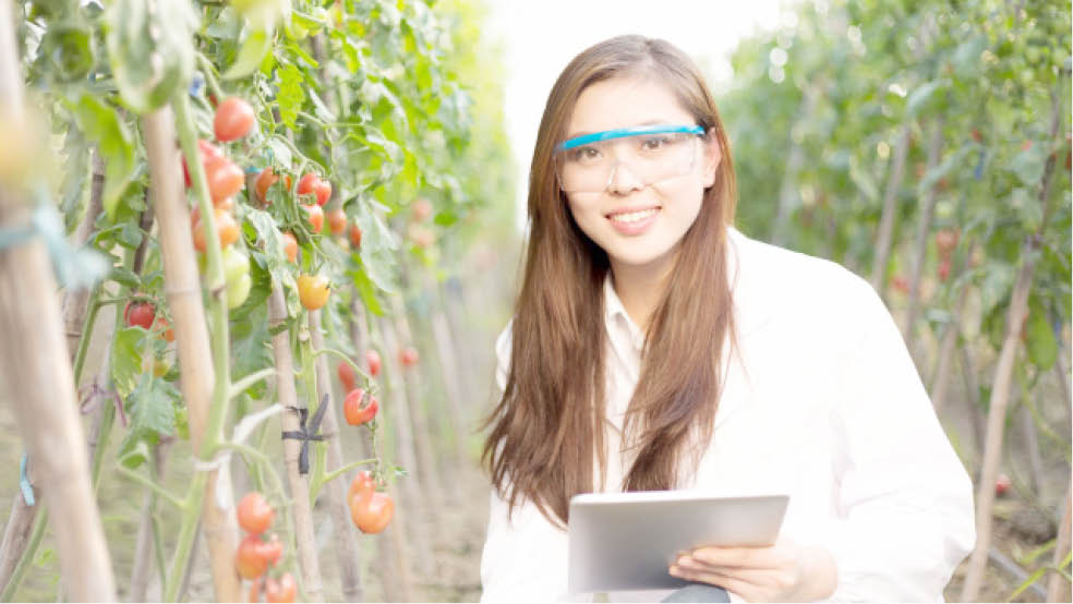 Are you considering a career as an Agricultural engineer?