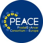 EU consortium strengthening peace clubs