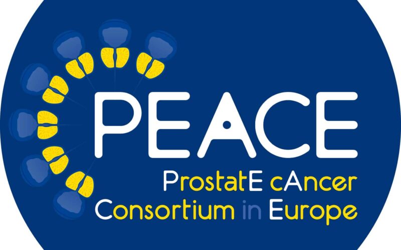 EU consortium strengthening peace clubs