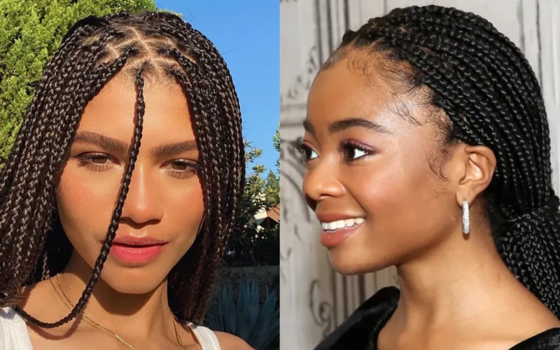 Stylish braids you can explore this new year