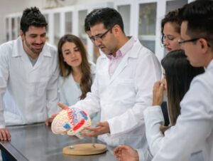 How to become a Neuroscientist