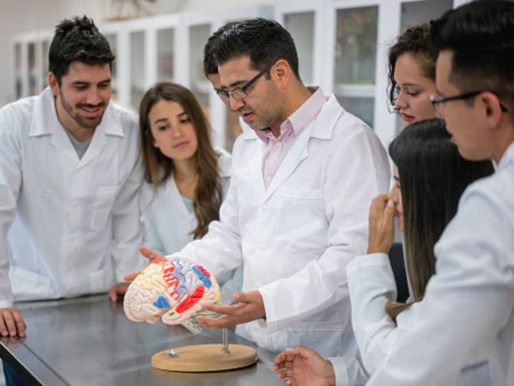 How to become a Neuroscientist