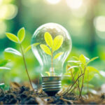 Sustainability terms you need to know