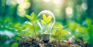 Sustainability terms you need to know