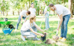 Ways to take local action on global environmental issues as Teen