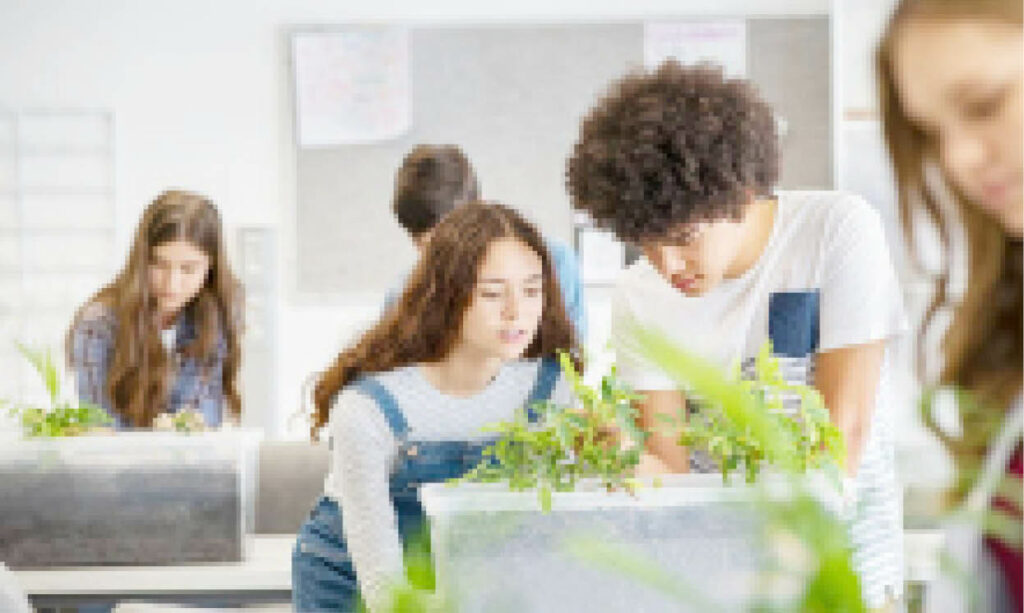 What you can do: Teenagers and Ecology