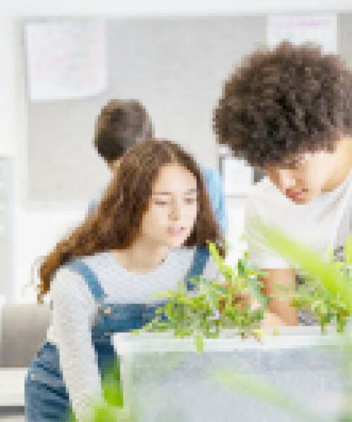 What you can do: Teenagers and Ecology