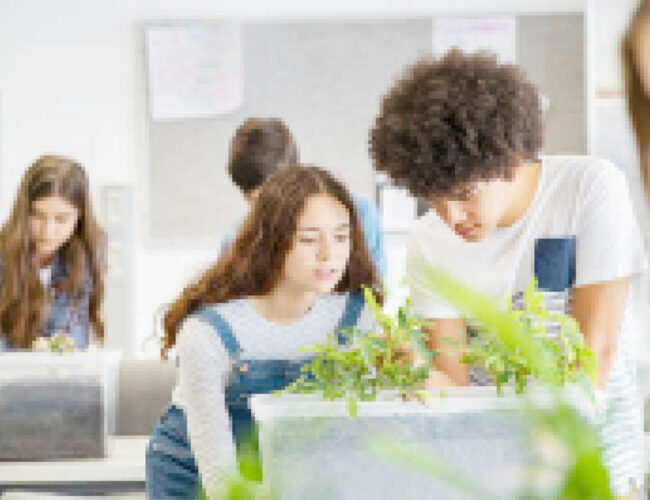 What you can do: Teenagers and Ecology