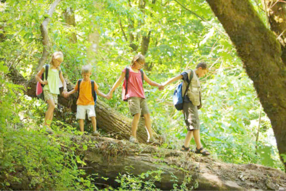 Why you need to interact with Nature