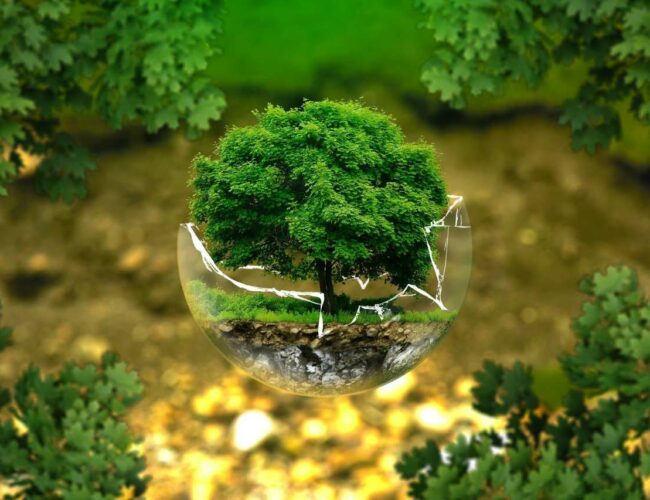 The advantages of a clean environment