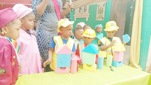 Lordswill Academy students during their Career Day celebration