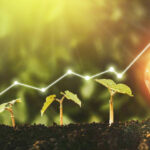 Sustainability terms you need to know