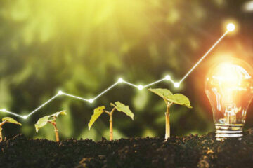 Sustainability terms you need to know