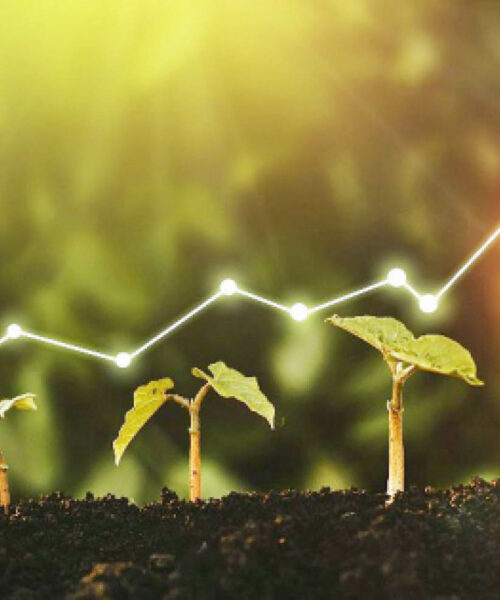 Sustainability terms you need to know
