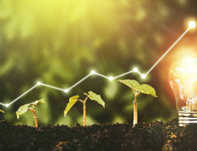 Sustainability terms you need to know