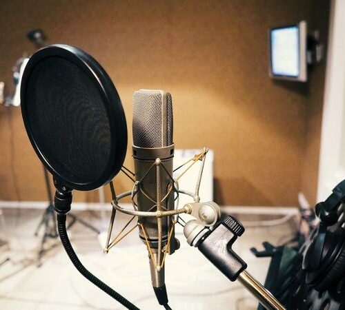 How to turn your voice into money