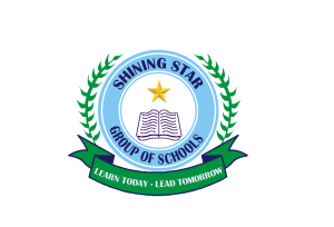 Shining Star School emerges overall best at first Lego league competition in Abuja