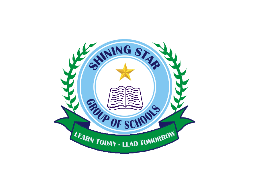 Shining Star School emerges overall best at first Lego league competition in Abuja