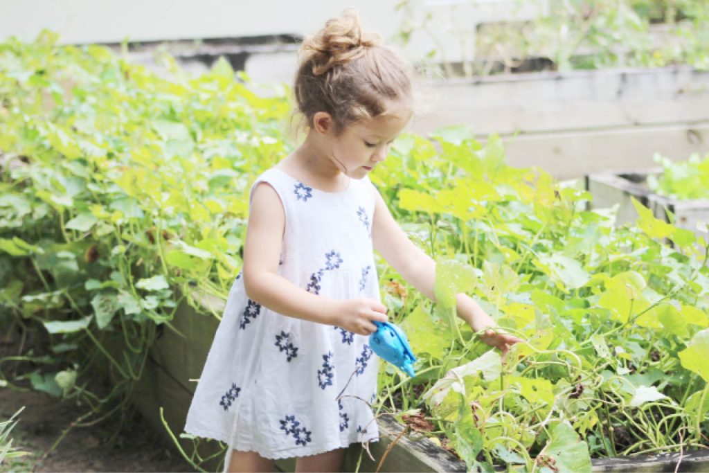 Let it grow! A fun guide to starting a garden