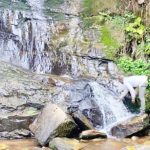 My unforgettable experience at Erin Ijesha waterfalls