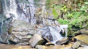 My unforgettable experience at Erin Ijesha waterfalls