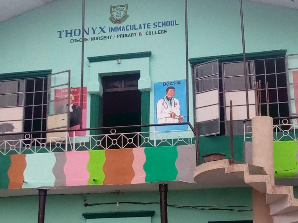 Thonyx Immaculate Schools marks 10th anniversary with inter-house sports