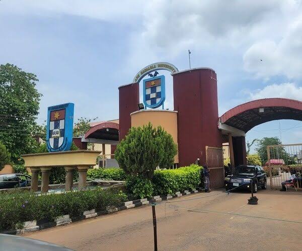 From Vision to Reality: Afe Babalola Says His World-Class University Dream Has Come True