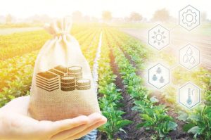 From farm to fortune: How to make money from farming