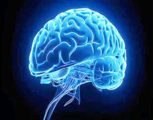 Want to become a brain doctor? Here’s how